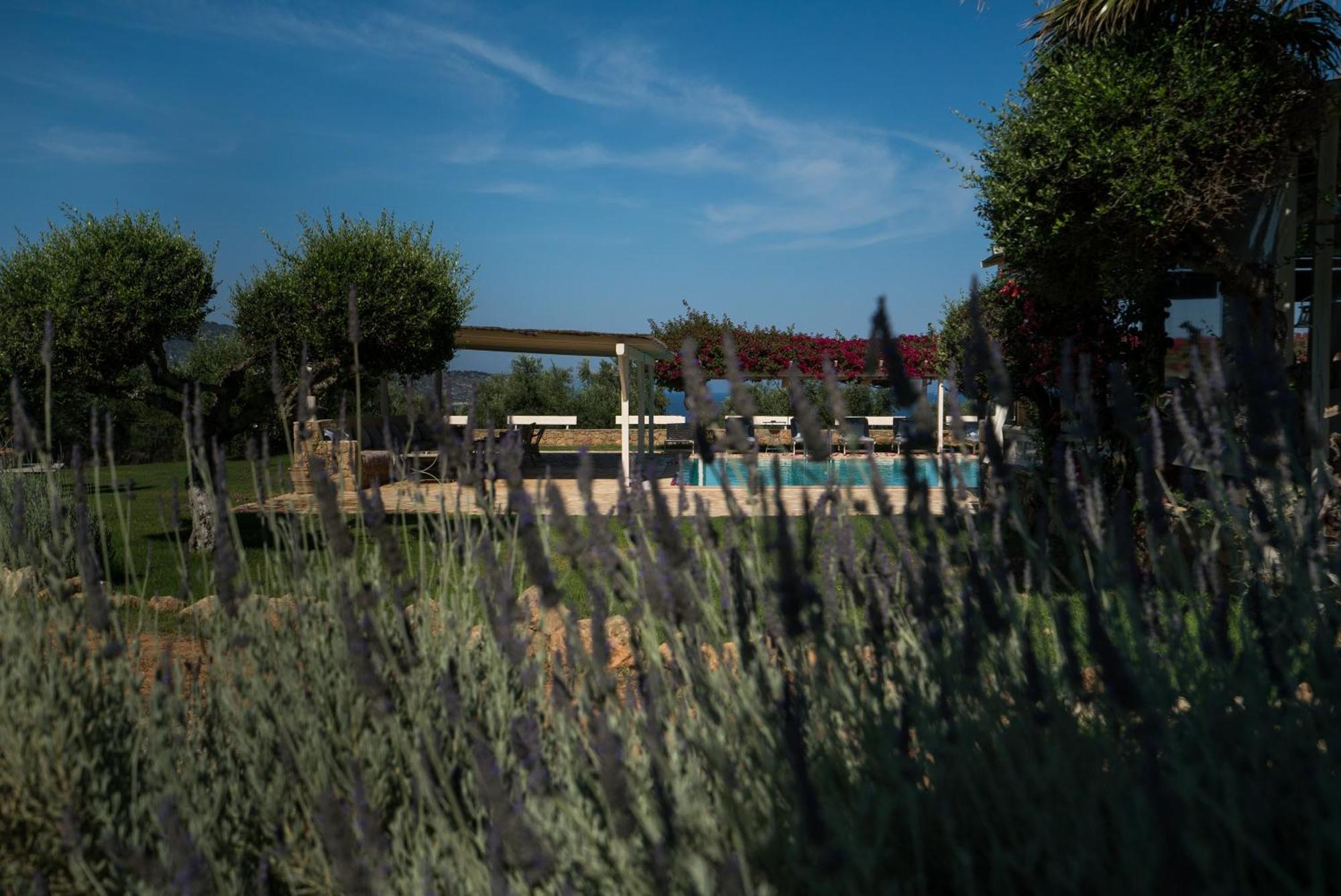 Agrikies Country Retreat Apartment Marathopoli Luaran gambar