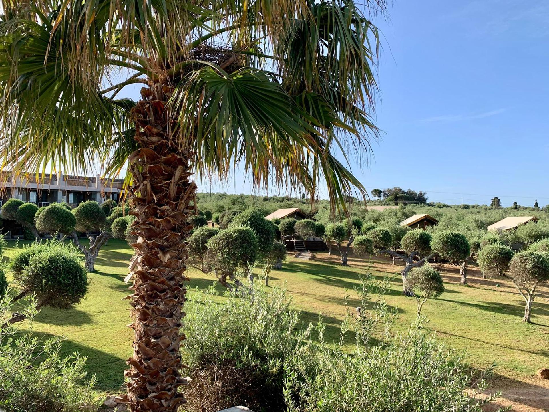 Agrikies Country Retreat Apartment Marathopoli Luaran gambar