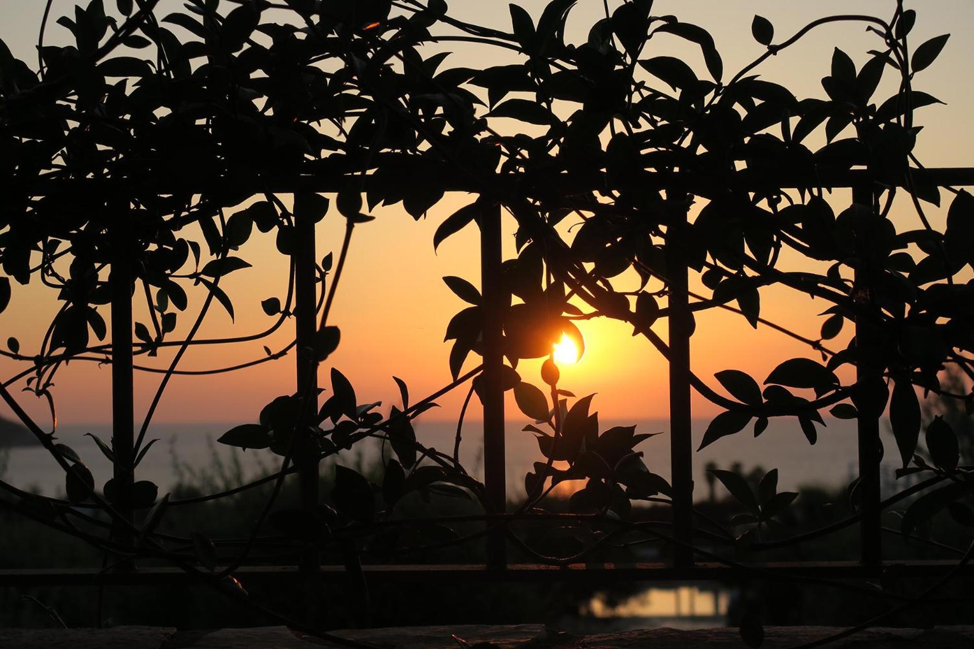 Agrikies Country Retreat Apartment Marathopoli Luaran gambar